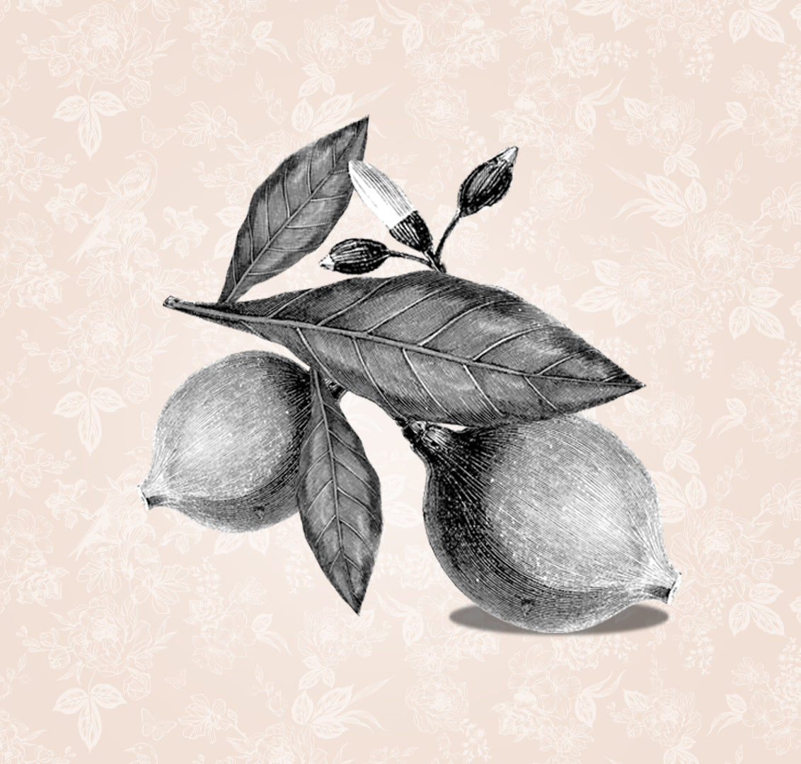 D'où vient le jagua et quelles sont ses origines ?